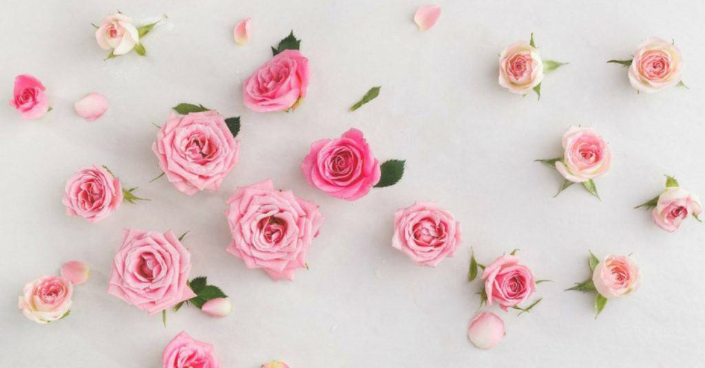 Công thức mặt nạ hoa hồng, bột nghệ và sữa tươi có tác dụng chống viêm rất tốt, do đó sẽ nhanh chóng loại bỏ những nốt mụn bọc, giảm sưng, giảm đau hiệu quả. Ảnh: eva.