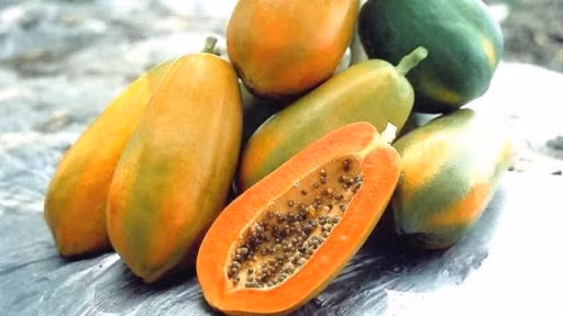 Đu đủ chứa nhiều vitamin A, C, đồng, kẽm, magie,...Đồng thời, đu đủ cũng chứa nhiều loại enzyme giúp ngăn ngừa tổn thương do gốc tự do gây ra.