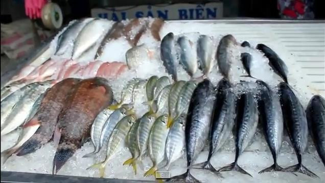 Với cá ướp urê, nhìn bề ngoài thấy sẽ thấy rất tươi, mắt cá trong, mang cá đỏ tươi hơn bình thường. Ảnh: imgur.