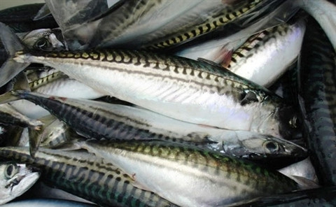 Ngoài ra, urê có thể chứa các thành phần nguy hiểm như kim loại nặng gây ngộ độc, nhẹ thì gây chóng mặt, đau bụng, nặng hơn sẽ gây nôn mửa, tiêu chảy, trường hợp cấp cứu không kịp sẽ gây tử vong. Ảnh: galaxypub.