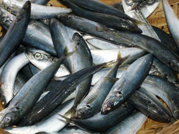 Khi chiên hay kho, cá bị ướp urê sẽ rã ra và không có mùi thơm tự nhiên của cá biển. Ảnh: dacsanphuyen.