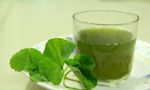 Trong khi đó, một số người lại uống nước rau má khi cảm thấy nóng bụng hay cảm thấy bụng ì ạch khó tiêu vì nghĩ rằng nước ra má có tác dụng thanh nhiệt, uống vào sẽ dễ tiêu hóa. Ảnh: iwthanoi.