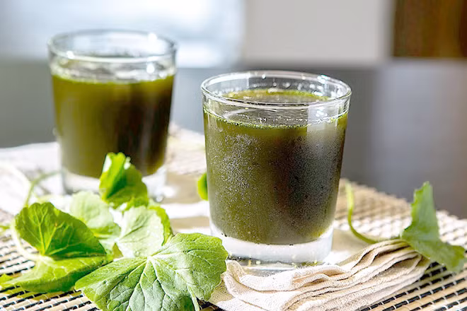 Uống rau má khi đang dùng thuốc cũng là một sai lầm nhiều người đã từng mắc. Ảnh: media.