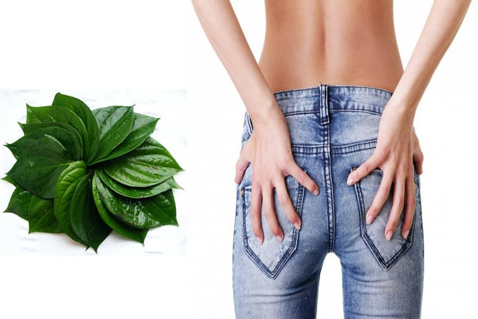 Búi trĩ làm gián đoạn hàng rào hậu môn và khiến các chất thải, dịch nhầy bị ứ đọng tại hậu môn gây ngứa nghiêm trọng. Ảnh: chicucthuyhcm.