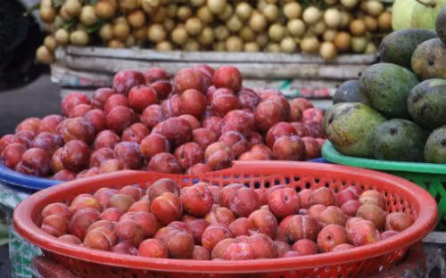 Mận có tác dụng làm giảm lượng đường trong máu, vì vậy mà người vừa trải qua phẫu thuật không nên tiêu thụ mận. Ảnh: pvcfc.