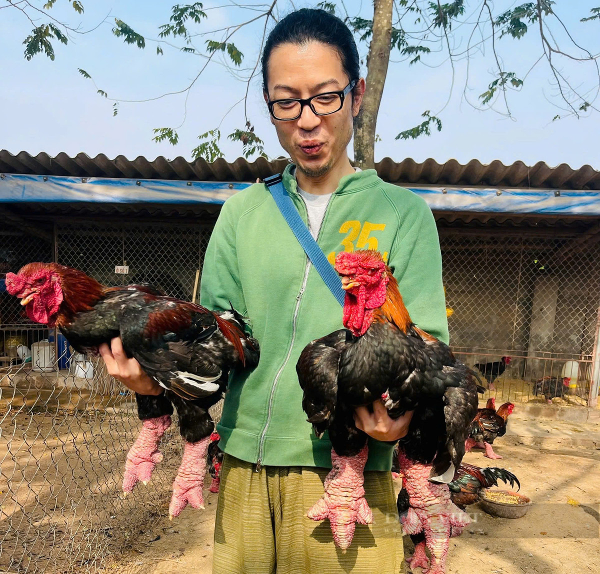 Khách từ Nhật Bản, Đài Loan bay sang mua gà tiến vua - Hình 3 Khach tu Nhat Ban, Dai Loan bay sang mua ga tien vua-Hinh-3