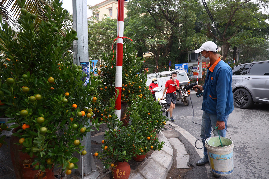 Hà Nội đã tổ chức 78 chợ hoa Tết, việc những điểm bán hoa tự phát sẽ gây ảnh hưởng không nhỏ tới giao thông ngày Tết.