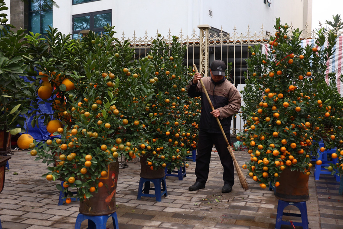 Một điểm bán quất đã "cướp" toàn bộ vỉa hè của người đi bộ.
