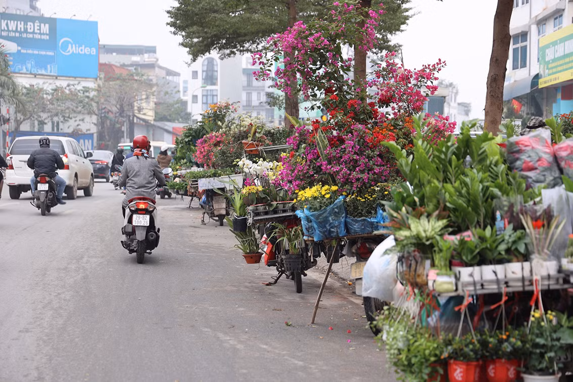 Các xe bán hoa đỗ thành hàng dài trên phố.