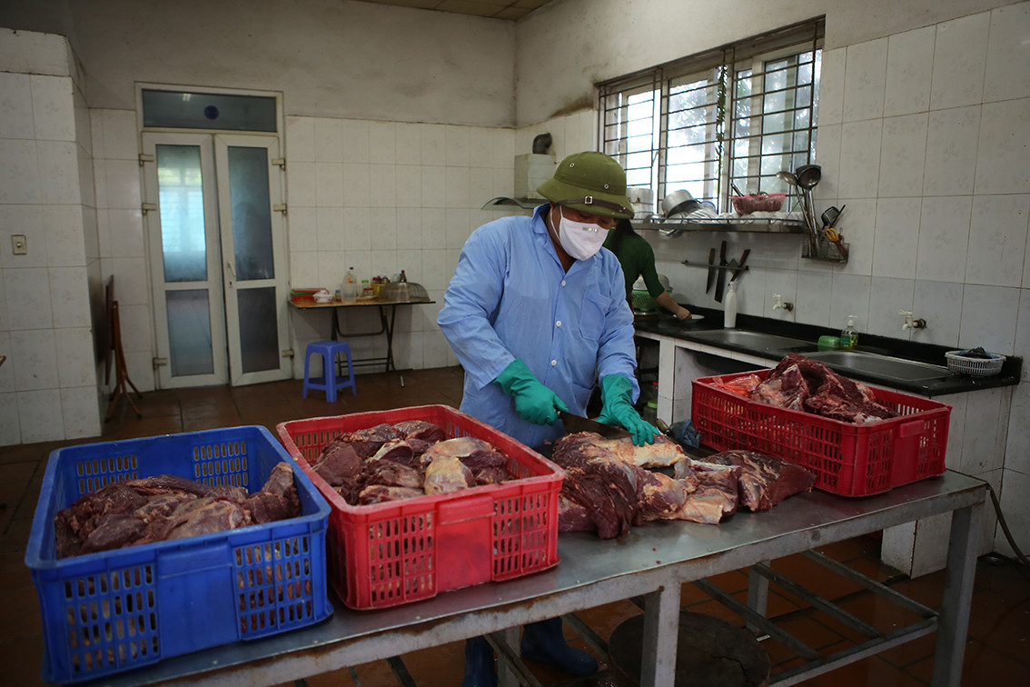 Những chú hổ ở đây được nhân viên chăm sóc hàng ngày và ăn uống theo chế độ dinh dưỡng nên phát triển tốt.