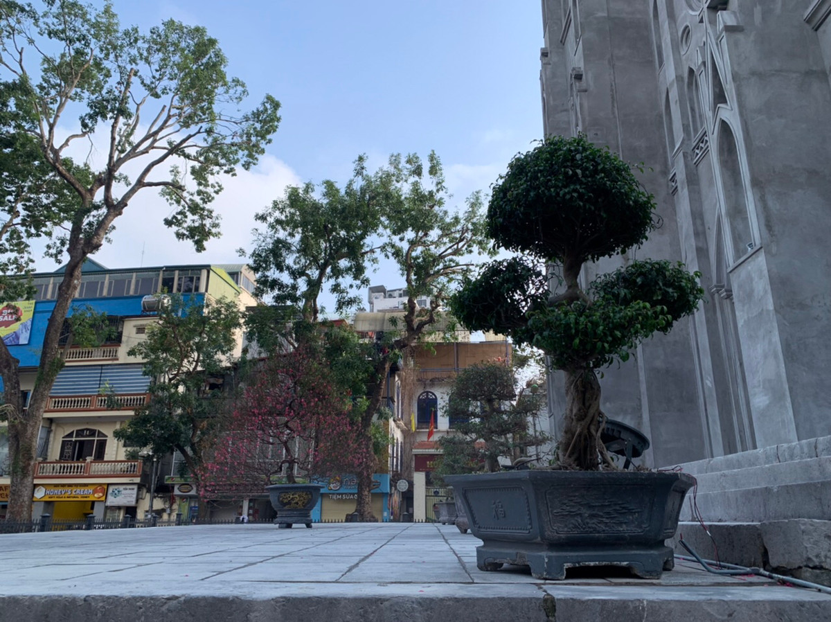 Trước đó, lớp vữa của Nhà Thờ Lớn đã có dấu hiệu bong tróc, có thể ảnh hưởng đến kết cấu gạch bên trong nên Giáo xứ Chính toà Hà Nội đã quyết định tu sửa lại toàn bộ phần bên ngoài.