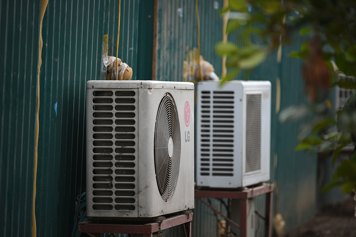 Đối với những cây có thế đẹp, người trồng đào phải dựng nhà, lắp điều hoà chạy 24/24 để chăm sóc đào Thất Thốn.