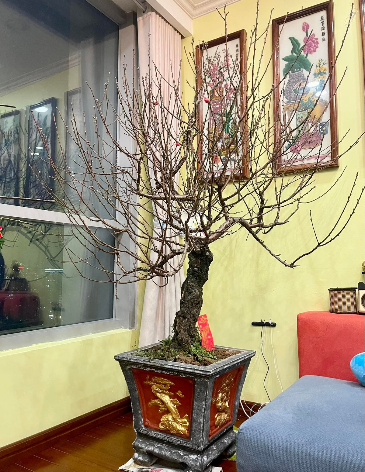 Ngoài đào, quất, vợ chồng NSND Tự Long còn treo thêm pháo giấy gợi nhớ không khí Tết cổ truyền.