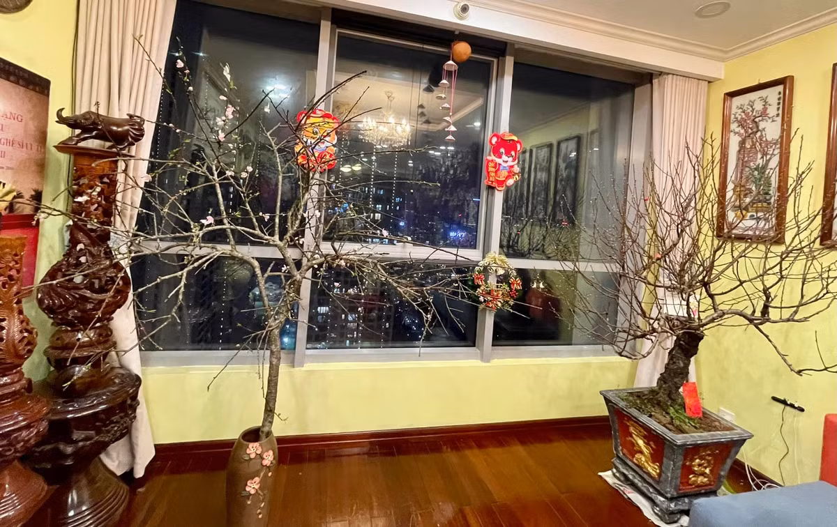 Vợ chồng NSND Tự Long mua đào, quất để trưng bày đón Tết.