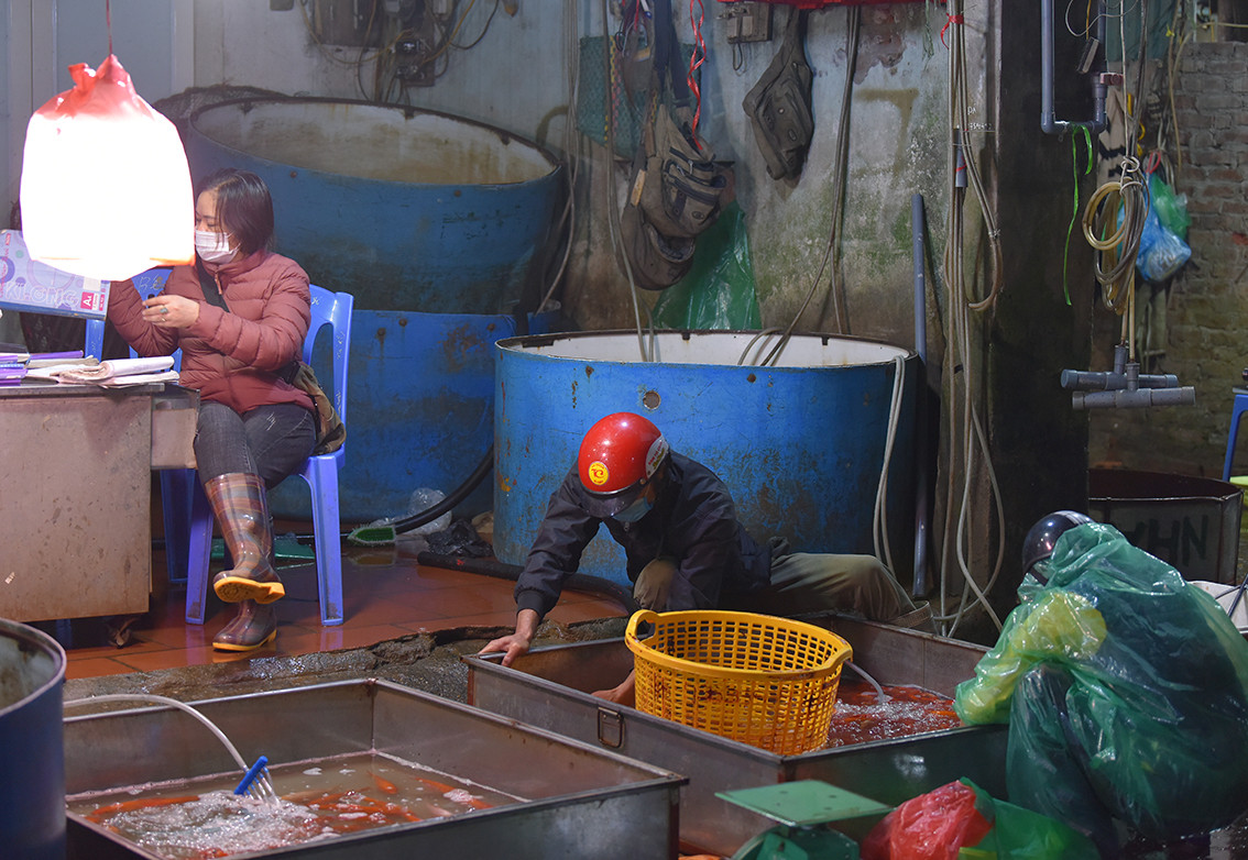 Mặc dù mở cửa từ đêm nhưng khu vực bán cá chép vàng gần như không có người tới mua.