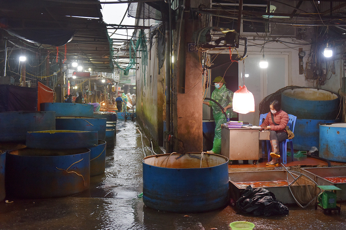 Canh tuong chua tung co tai cho ca Yen So dip Tet