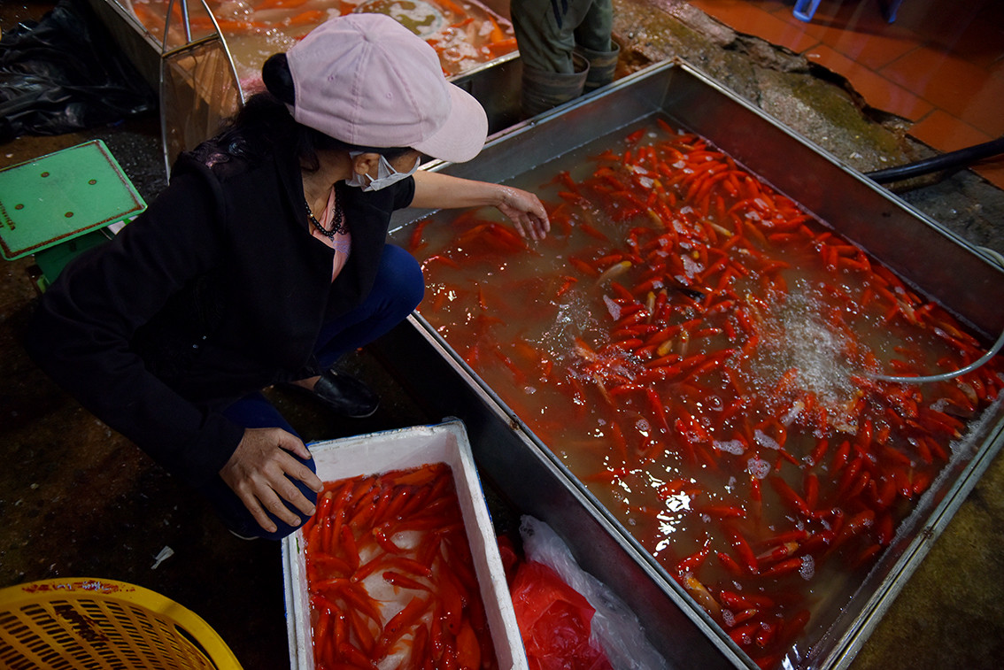 Một tiểu thương khác ở chợ cá Yên Sở buồn bã cho biết, đã sát ngày ông Công ông Táo nhưng lượng khách mua không bằng một phần nhỏ năm ngoái.