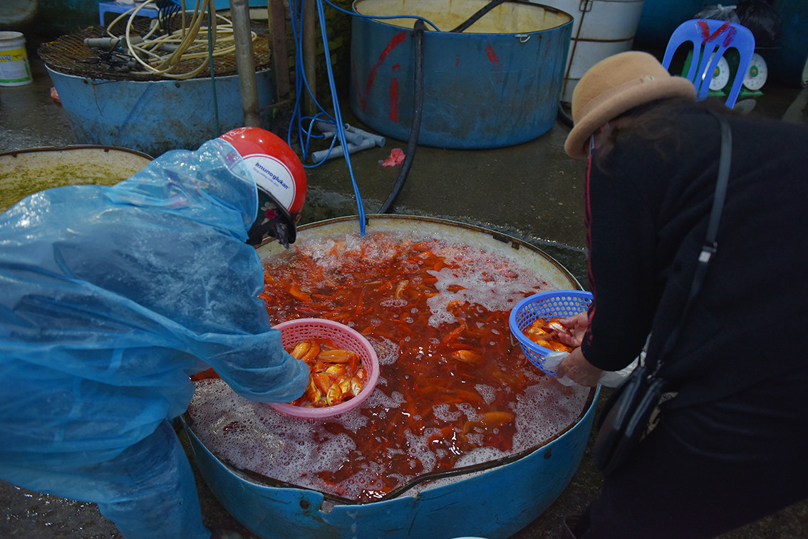 Nguyên nhân do dịch bệnh COVID-19 khiến người dân ngại tới chỗ đông người.