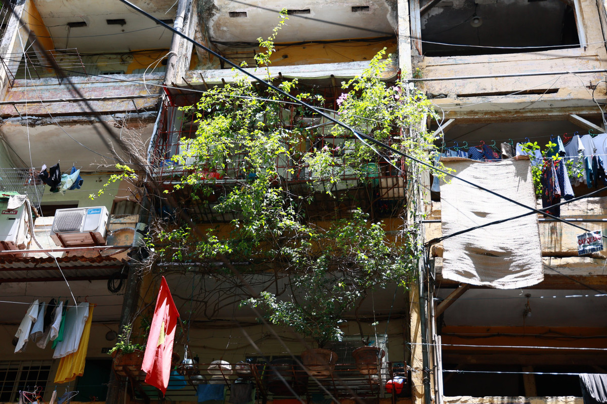 Theo ghi nhận của PV báo Tri thức và Cuộc sống, ở thời điểm hiện tại 6 khu chung cư cũ này đã xuống cấp trầm trọng.