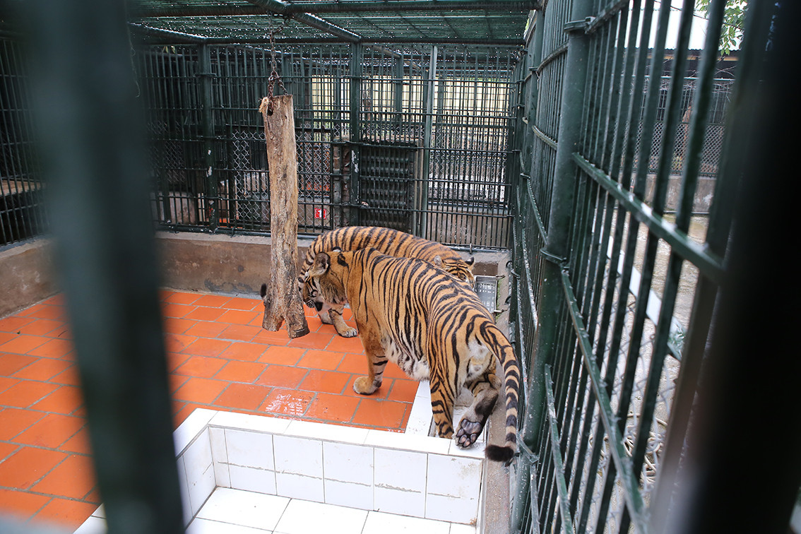 Noi nuoi duong nhung “chua son lam” may man thoat nan buon lau