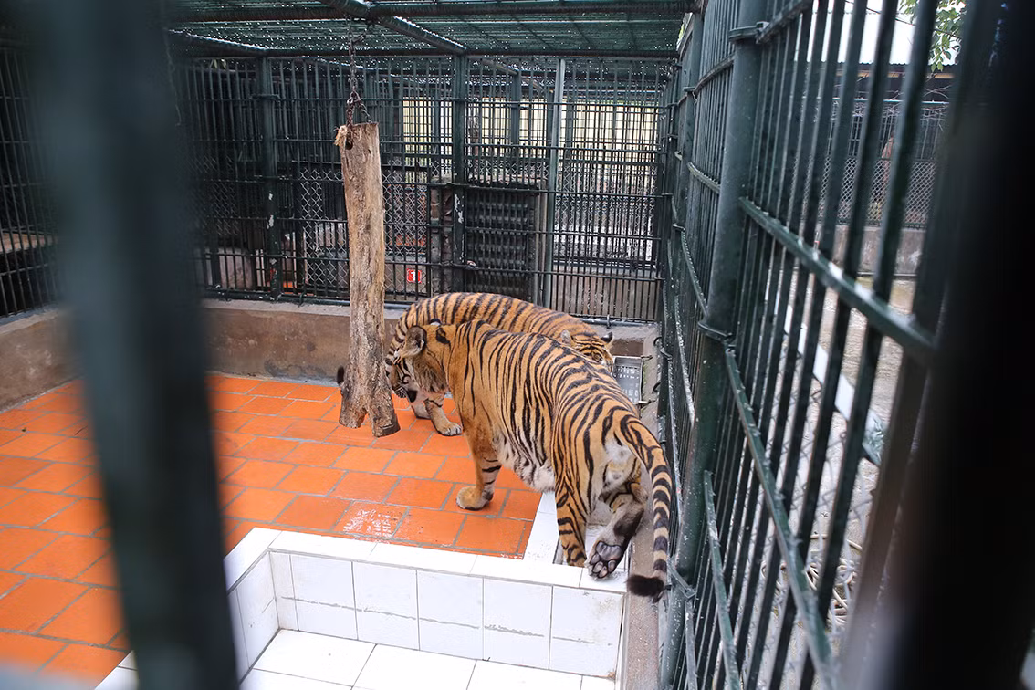 Noi nuoi duong nhung “chua son lam” may man thoat nan buon lau