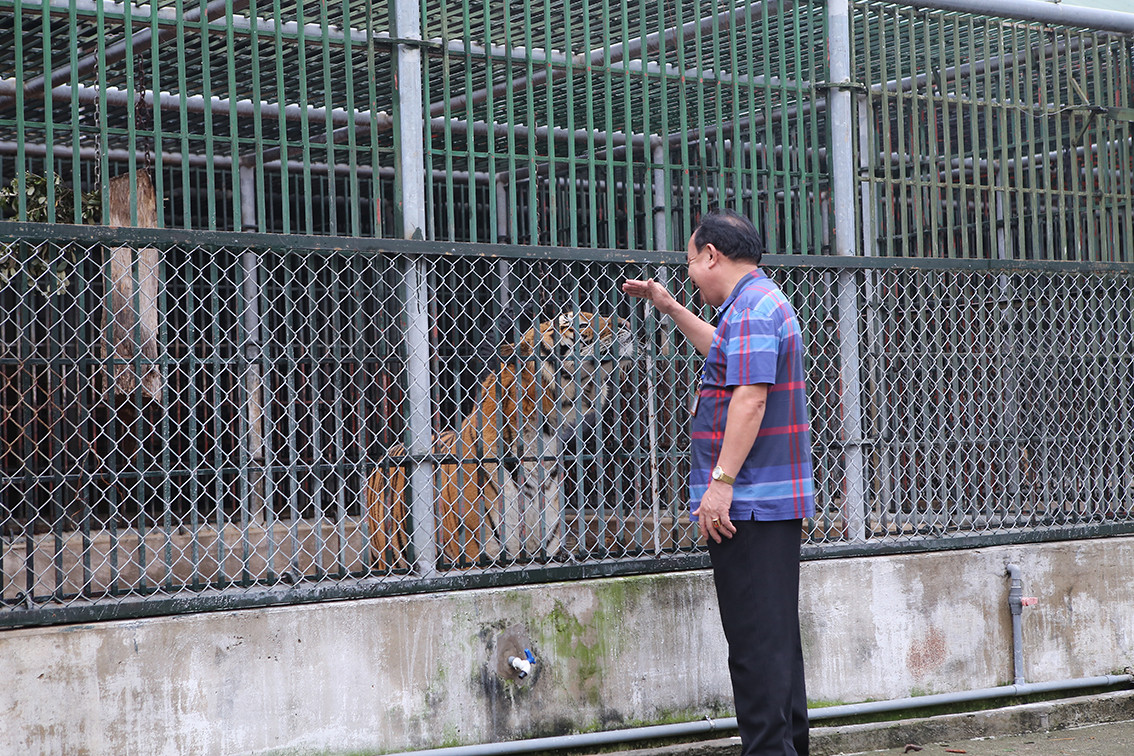 Được biết, 3 năm gần đây, trung tâm dành 1.000 m2 đất làm 2 khu bán hoang dã và phúc lợi cho hổ. Những con sau khi ghép đàn thành công được nhốt riêng một chuồng, sau đó thả luân phiên theo ngày và giờ để vận động vui chơi.