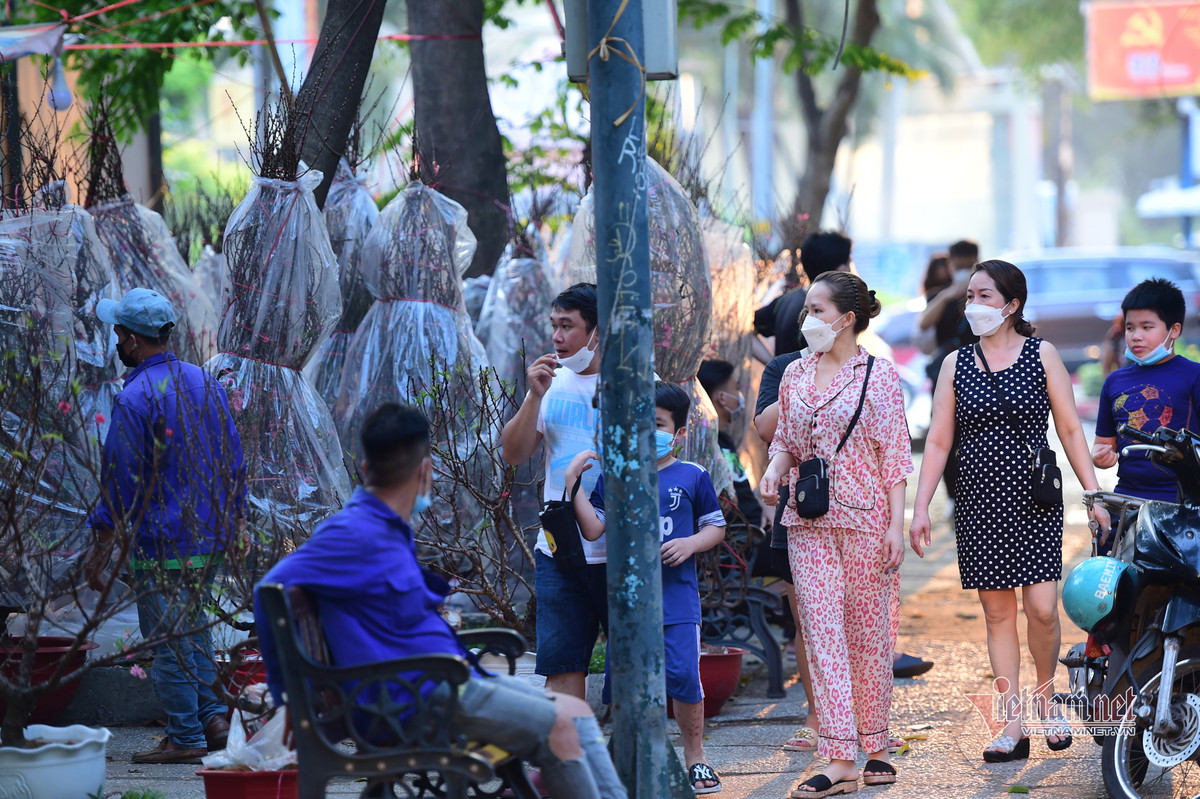 TP.HCM có 6 chợ hoa Tết được mở tại: Công viên Gia Định (quận Gò Vấp), công viên Lê Văn Tám và 23-9 (quận 1), chợ đầu mối Bình Điền (quận 8), đường hoa Phú Mỹ Hưng (quận 7) và 1 điểm tại TP Thủ Đức. Hoa đào được tập trung nhiều ở khu vực trung tâm thành phố.