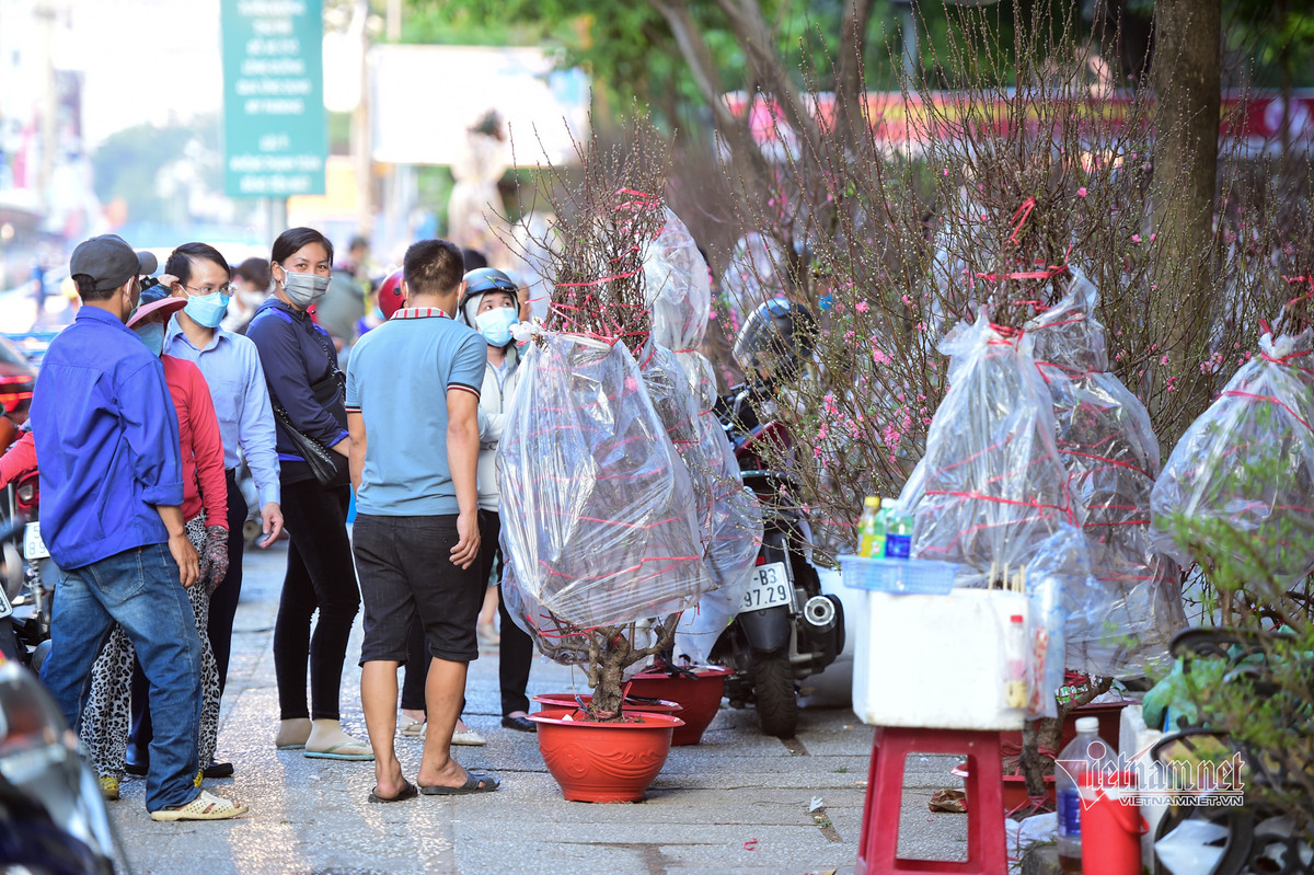 Tại chợ hoa 23 Tháng 9 chiều 27/1 (25 tháng Chạp), các gốc đào được bày biện chiếm gần một nửa chợ hoa. Những gốc đào nhỏ có giá trung bình từ 1-3 triệu đồng/ gốc.
