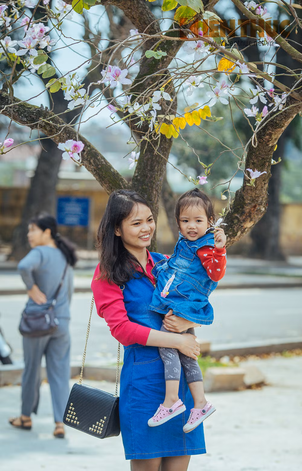 Gioi tre Ha thanh me dam hoa ban, hoa sua dua no-Hinh-10