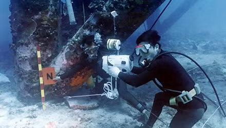 Kham pha cong viec cua tho lan Doan Dac cong 5