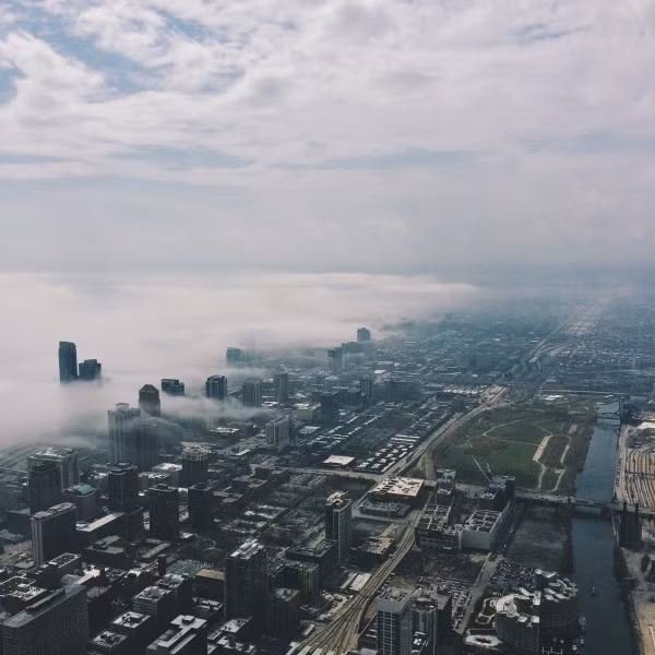 Tuổi trẻ tài cao, Elise được các đơn vị, công ty nổi tiếng khắp thế giới như Sony, kênh Discovery... mời tham gia, đóng góp sản xuất trong nhiều dự án, hoạt động chuyên nghiệp, trình độ cao.