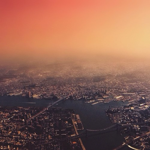 Màu sắc trong ảnh của Elise Swopes cũng được rất nhiều bạn trẻ, cư dân mạng ưa chuộng. Nó được nhận xét là rất thời thượng, tạo nên nét đặc trưng cho dòng ảnh được chia sẻ trên Instagram.