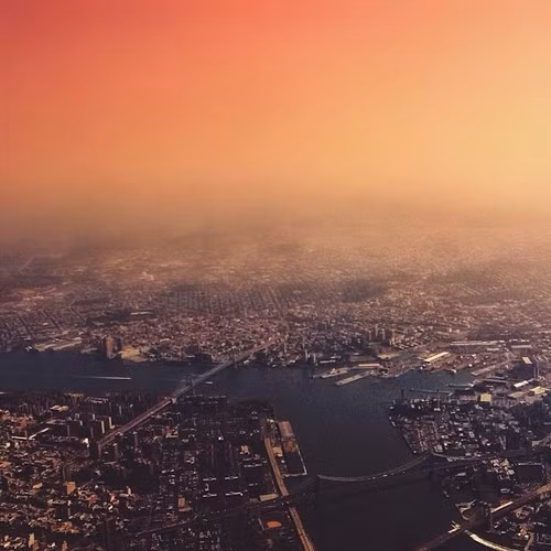 Màu sắc trong ảnh của Elise Swopes cũng được rất nhiều bạn trẻ, cư dân mạng ưa chuộng. Nó được nhận xét là rất thời thượng, tạo nên nét đặc trưng cho dòng ảnh được chia sẻ trên Instagram.