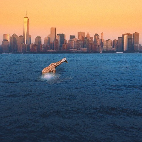 Từ nhỏ, Elise Swopes đã có năng khiếu về nghệ thuật, khoa học... Cô biết sử dụng máy tính và thông thạo các phần mềm như Photoshop hay Illustrator từ khi còn rất nhỏ.