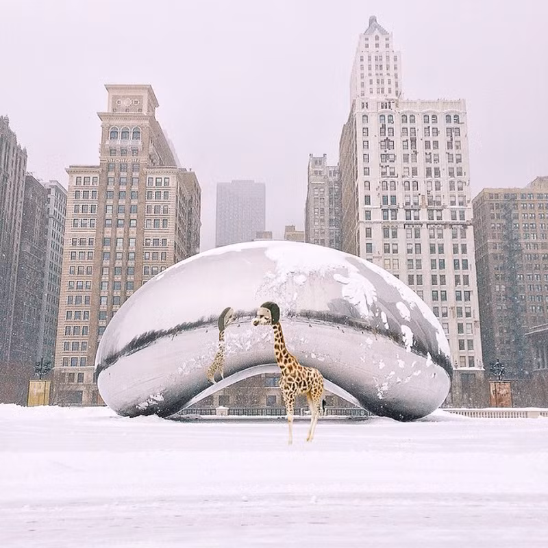 Những bức ảnh này khiến Elise có được danh tiếng và khẳng định được bản thân. Cô nàng từng được nhiều trang mạng về du lịch, trang web của nhiều thành phố ở Mỹ phỏng vấn, viết bài.