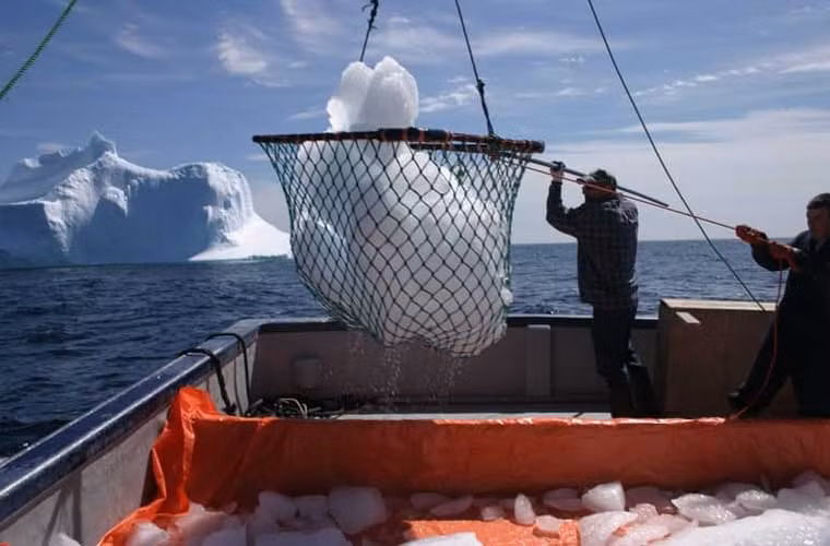 Người dân ở Newfoundland, Canada thậm chí còn đi lấy những tảng bông trôi để kiếm tiền. Các tảng băng này là nguyên liệu để làm ra các sản phẩm như rượu vodka, rượu, bia và sản phẩm chăm sóc da.