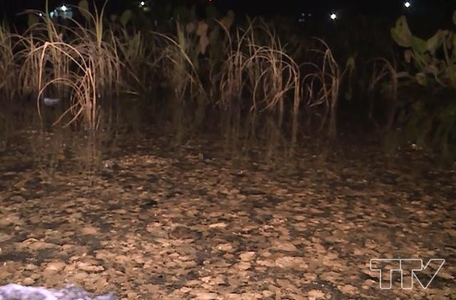 Thanh Hoa: Nguon nuoc o nhiem do ro ri Kho xang dau quan doi-Hinh-3