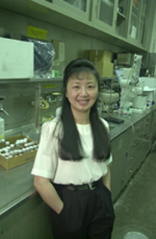 Phat minh chat no xanh, nha khoa hoc Viet nhan giai thien tai-Hinh-2