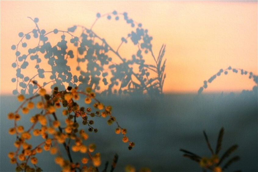 Cách hiểu thứ hai cho rằng “Thâm Tâm đã nhập vai bạn gái của người ra đi”, xem người tiễn đưa là người yêu của ly khách. Đây là cách hiểu rất mới mẻ và độc đáo.