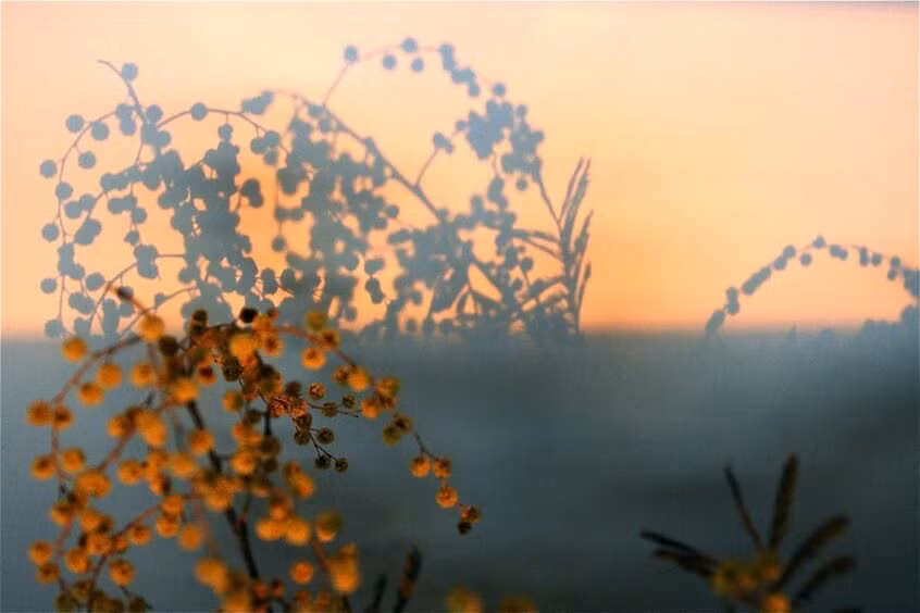 Cách hiểu thứ hai cho rằng “Thâm Tâm đã nhập vai bạn gái của người ra đi”, xem người tiễn đưa là người yêu của ly khách. Đây là cách hiểu rất mới mẻ và độc đáo.