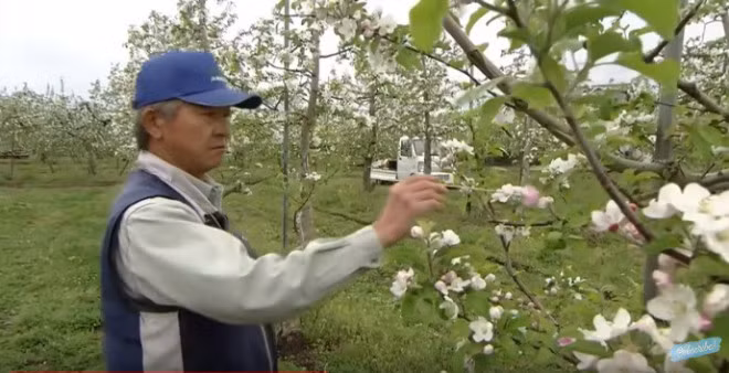 Trang trai trong tao dat nhat the gioi co gi dac biet?-Hinh-2