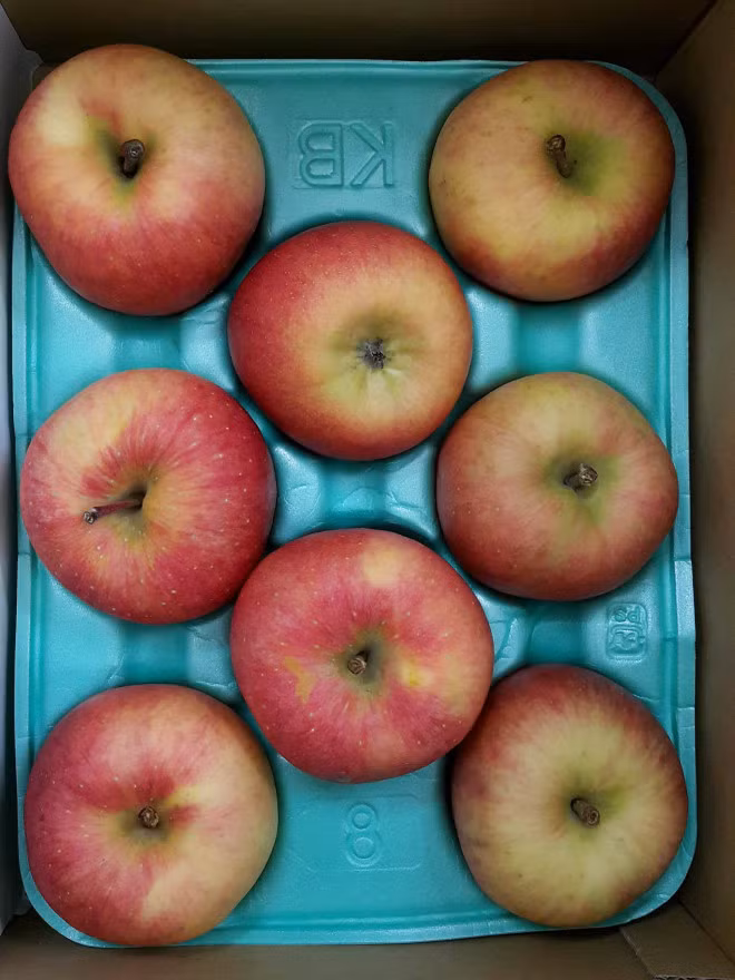 Trang trai trong tao dat nhat the gioi co gi dac biet?