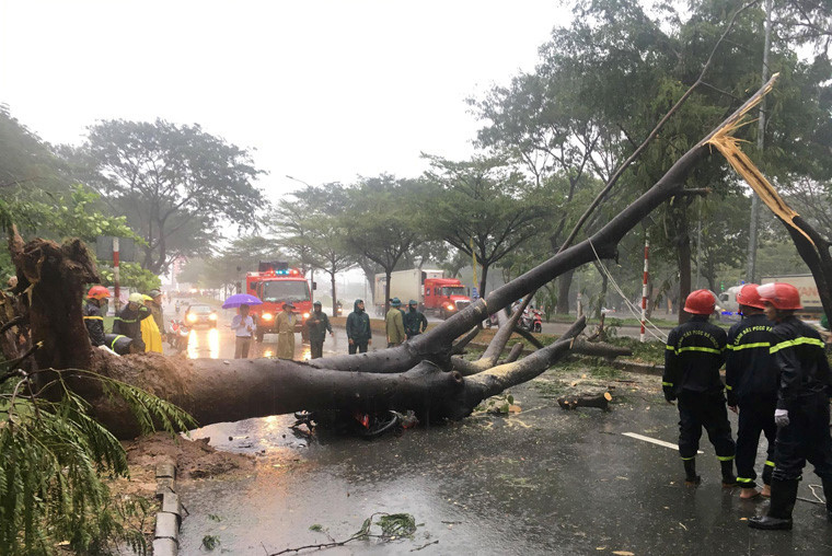 Bao so 9 gay thiet hai lon toi muc nao?