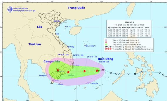 Khan truong so tan dan de ung pho bao so 9-Hinh-2