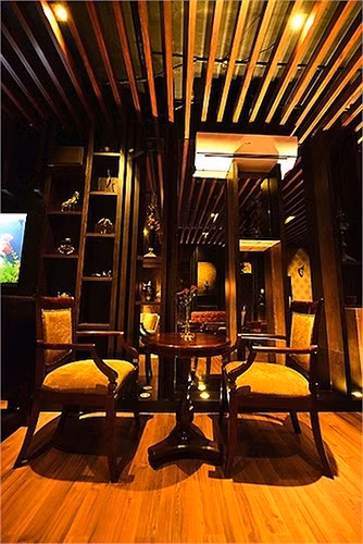 Tài sản “khủng” của nữ ca sĩ giàu nhất nhì Showbiz Việt - Hình 8 Tai san “khung” cua nu ca si giau nhat nhi Showbiz Viet-Hinh-8