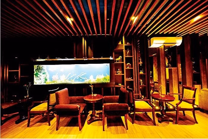 Tài sản “khủng” của nữ ca sĩ giàu nhất nhì Showbiz Việt - Hình 10 Tai san “khung” cua nu ca si giau nhat nhi Showbiz Viet-Hinh-10