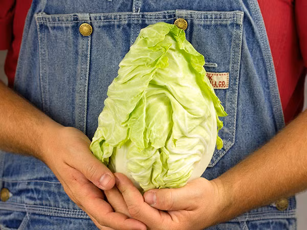 Loại rau này có thể giữ tươi được trong thời gian khá dài, trong điều kiện nhiệt độ thấp.