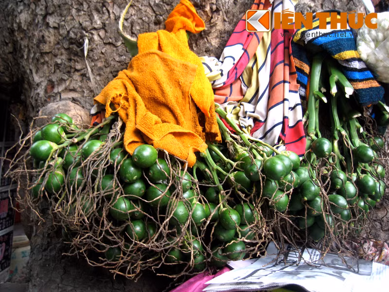 Nguoi Ha Noi nhon nhip sam do le cung ram thang 7-Hinh-8