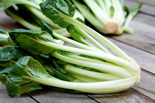 Nhà vườn có thể thu hoạch cải Tatsoi trong cả điều kiện có tuyết.