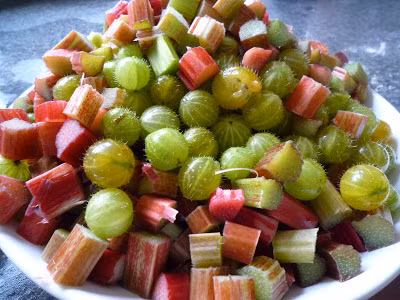 Kham pha giong qua chua nguy co tuyet chung-Hinh-2